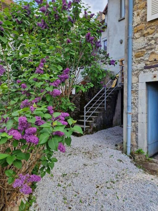 Le Lynx Boreal, Centre Historique Avec Jardin ロン・ル・ソーニエ エクステリア 写真
